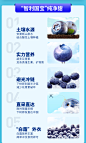 智利蓝莓