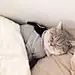 baeaki