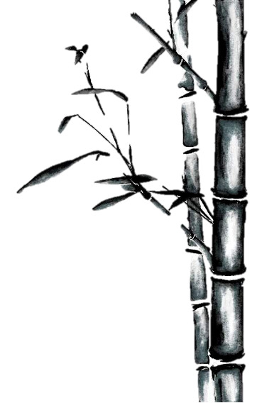 国风