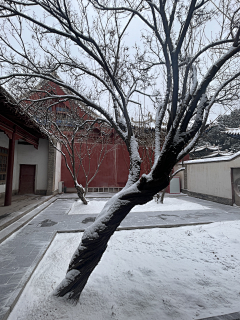 峰慧动画采集到中国古建筑之美