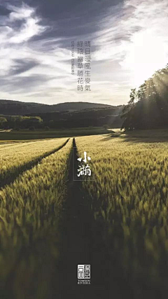 S-Arpels采集到T - 汤臣一品
