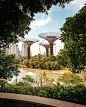 Photo by Singapore  Travel | Hotels | Food | Tips on September 15, 2024.