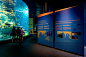 Sentosa: Maritime (Experiential Museum and) Aquarium : 12 ecosystem exhibits, kinetic tank ID systems, and interactives for the world's largest aquarium. (Opened September 2012)Completed at RAA