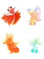 中国风金鱼素材丨水彩鱼贴纸丨 免扣png
