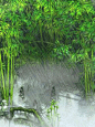 听雨    …玩