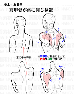 藏风小童采集到人体 局部练习