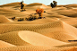 “死亡之海”塔克拉玛干沙漠