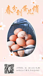 春分习俗营销