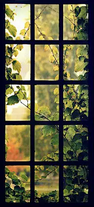 老了就去这里吧