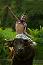 Boy riding water buffalo, Southeast Asia