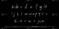 Vector fonts