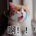 沉砚清余