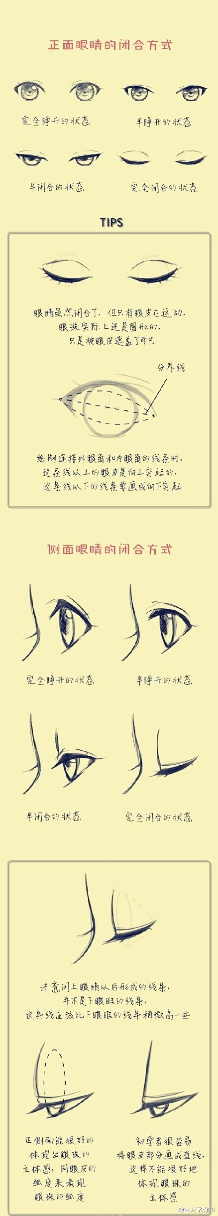 给大家分享一个手绘参考，关于不同年龄的身...
