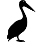 各类动物昆虫黑白剪影AI矢量图案图标合集 (277)