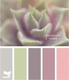 邵恒超采集到色彩COLOR