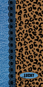 20220923162747_81dfa