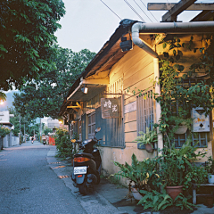 豆小浆●′ω`●采集到拥抱生活