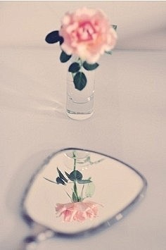 天涯海角,唯望君安。
——消失宾妮《望君...