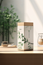 国风茶叶罐装包装样机模型