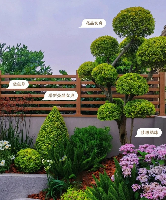 植物配置实景 (129)-花瓣网