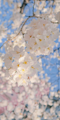6b29923b59e24e9d400eedd3c7bbbc8461607bf47ec0f-ZHDr9u_fw1200