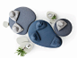 PAPILO-Ditre-Italia-632826-rel48c9f4fb