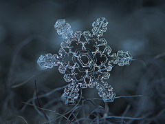 NumenAkon采集到下雪了，不打伞是不是就可以一起走到白首