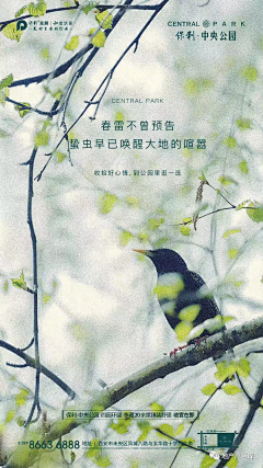 沦落人采集到好看的图