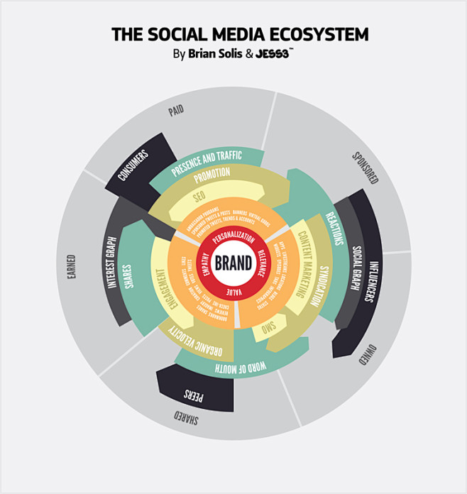 the social media eco...