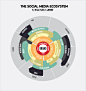 the social media ecosytem