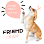 Literary Pet Care Services Introduction Ecommerce Product Image