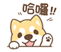 Shiba Inu collection! - LINE 个人原创贴图 : Howdy! The world's most popular Shiba Inu is in the house. Come with your friends and have a fun day with Shiba Inu!