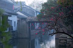 烟雨兰花采集到烟雨江南