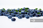 蓝莓,水平画幅,水果,叶子,清新图片素材下载_正版图片VCG21gic13878753 - VCG.COM
