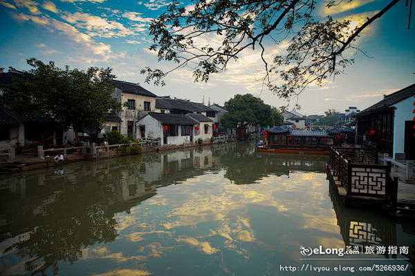 逝去的同里：灯红树绿的夜色, 树缠藤旅游...