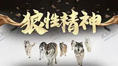 狼性精神海报 【酷图网】狼性精神,企业文化,文化,精神,海报