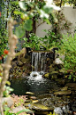 Beautiful outdoor garden waterfall and koi pond