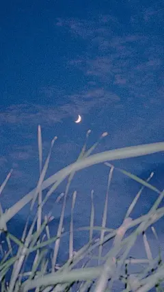 Ins 精致 朋友圈封面 背景 壁纸 