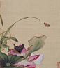超清晰版本 郎世宁《花鸟图册》更多精彩内容敬请关注：#微信公众号  致中文化# #寻根文化太美# #花鸟#