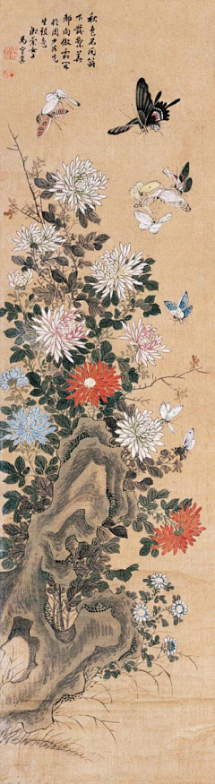 ≮影≯采集到菊花