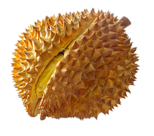 榴莲