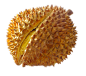 榴莲