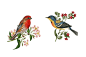 S&P Bird : Illustration X S&PClient X S&P