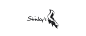 Stinky's logo design