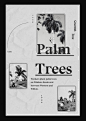 Palm Trees