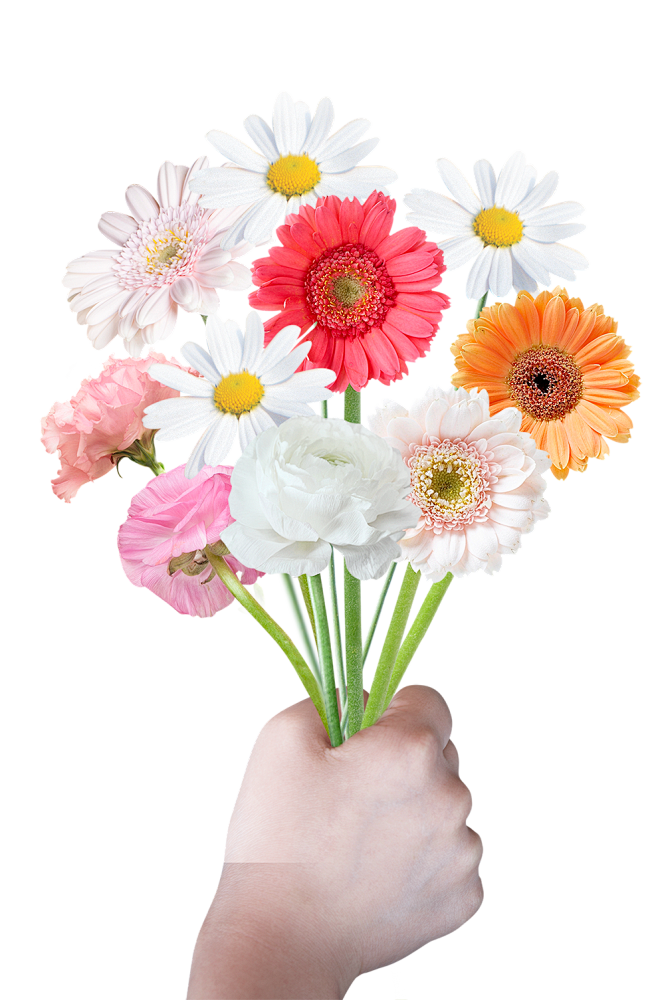 [美工云]韩式菊花鲜花手捧花春季春天气息...