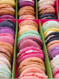 Colourful macaroons at the chocolate festival in Versoix (http://www.versoix.ch/fdc.php)
