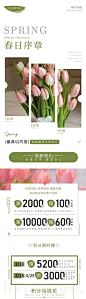 春日序章公众号宣传长图-源文件