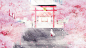 Anime 1920x1080 Noragami cherry blossom cherry trees shrine Iki Hiyori