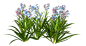 044.png : Фото, автор KNataliV на Яндекс.Фотках